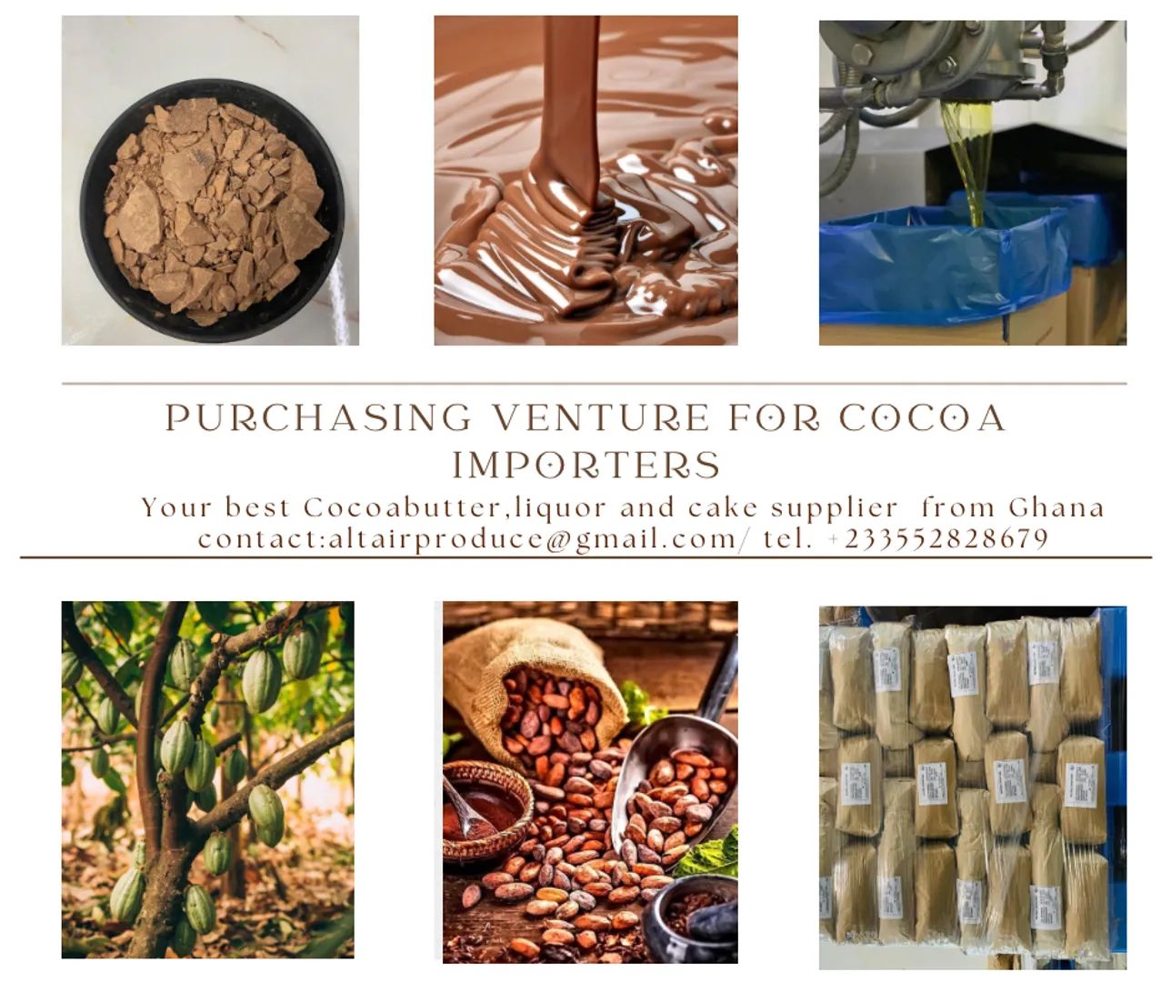 zaretta Kateh @ Entre : Explore the World of Divine #Cocoa Unleash your ...